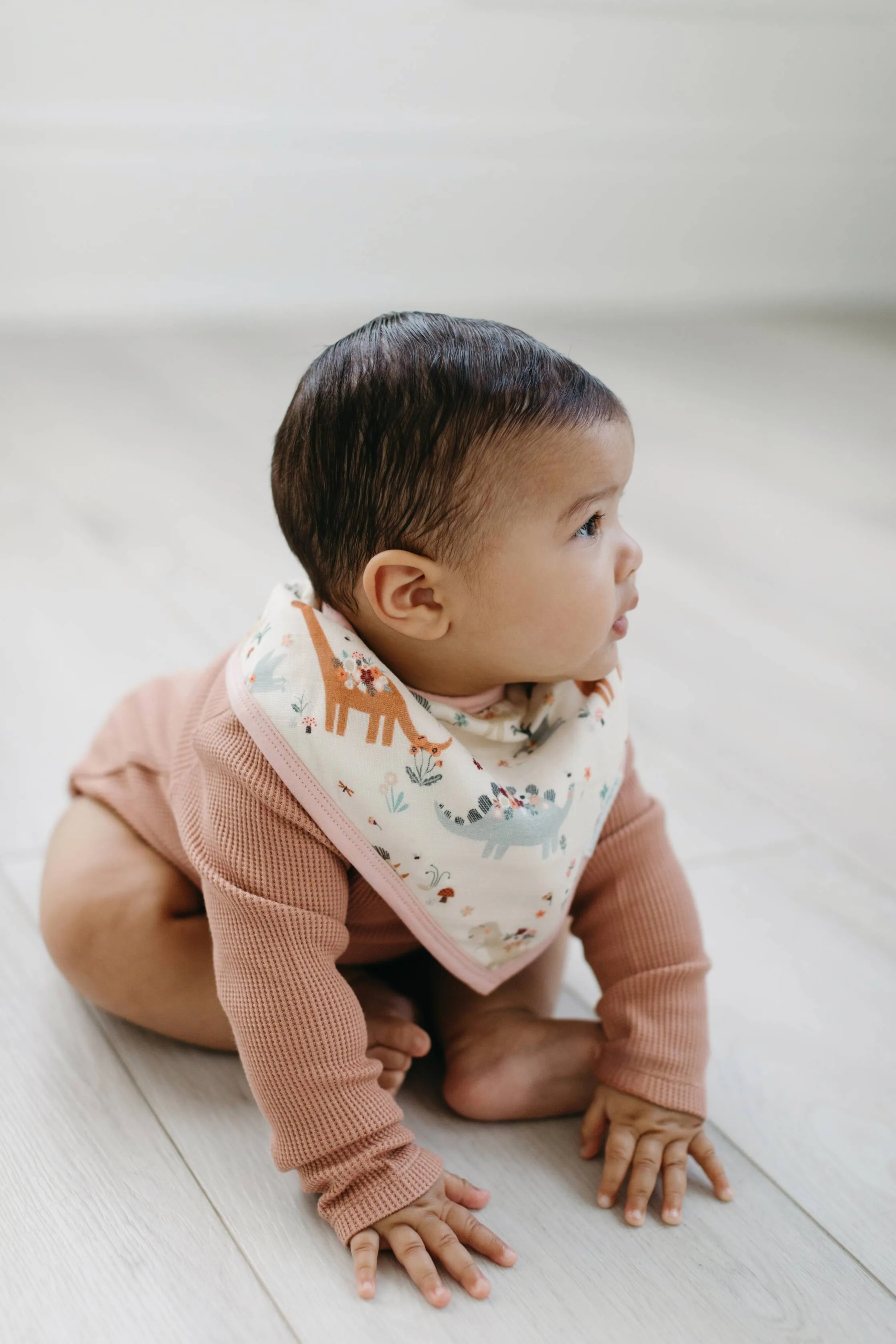 Bandana Bib Set - 2 Pack