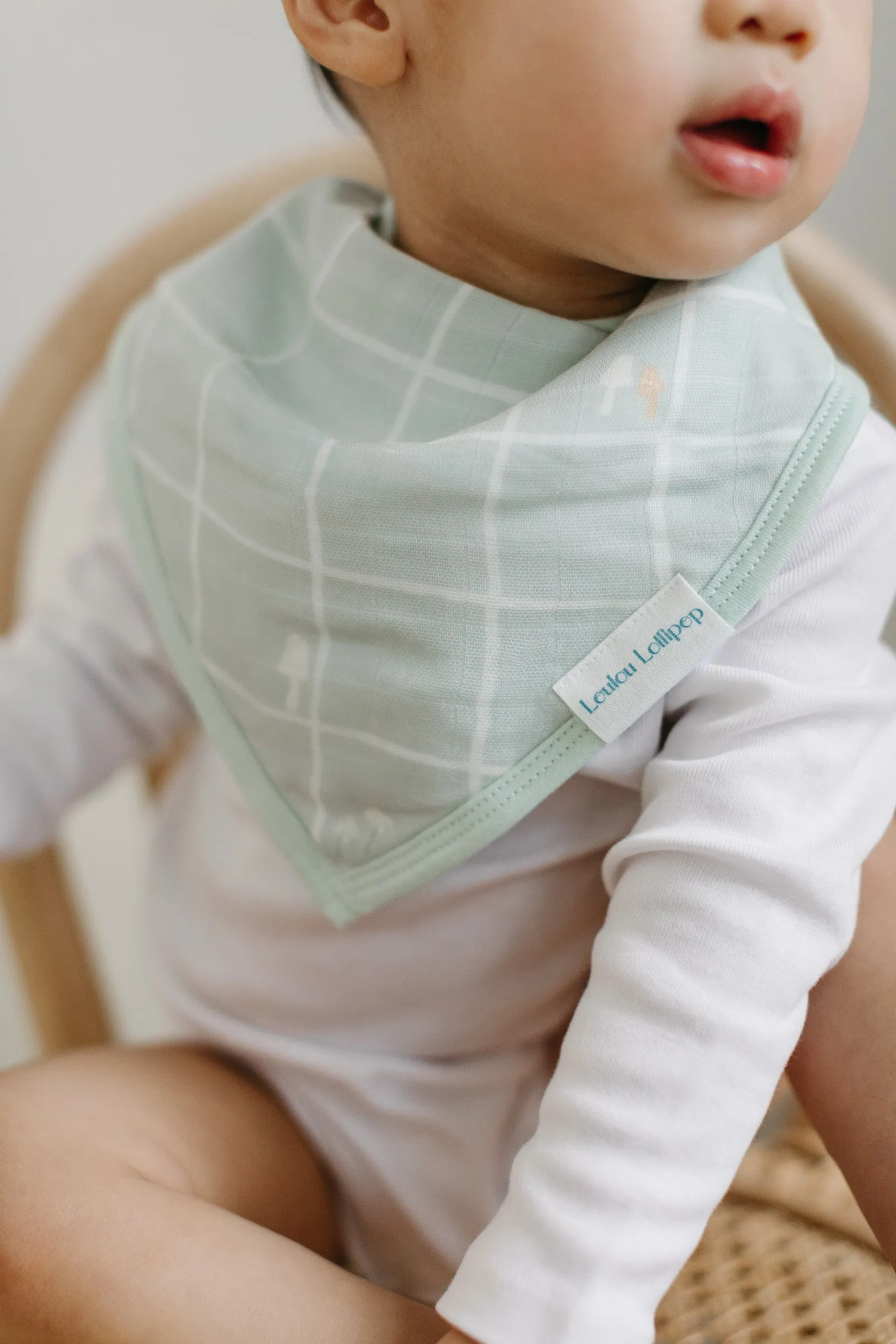 Bandana Bib Set - 2 Pack